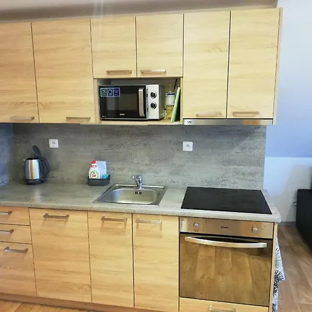 Apartmany Ricky Room photo